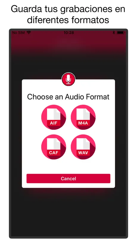 Grabadora de Voz y Audio PRO