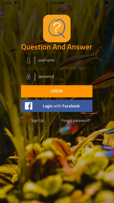 Question And Answer App screenshot 2