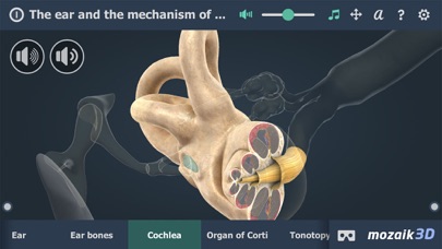 Screenshot #3 pour The mechanism of hearing 3D