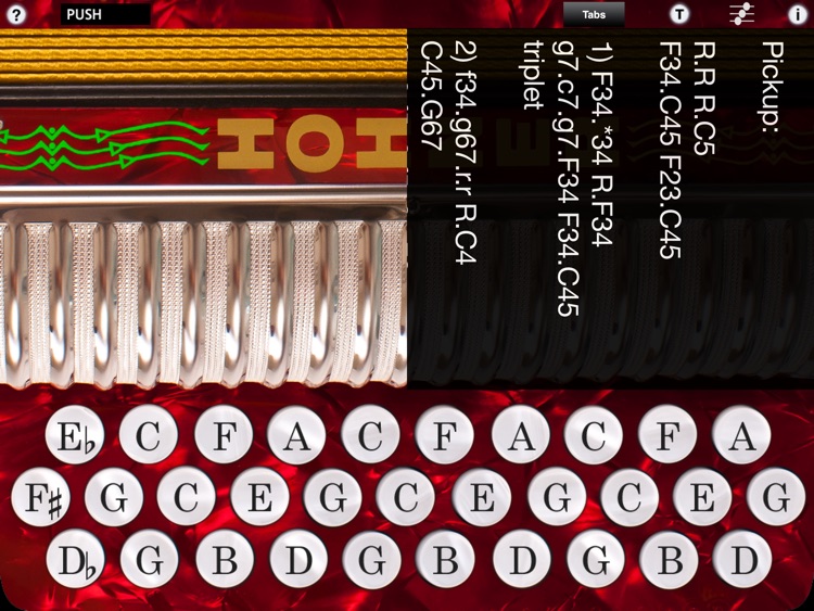 Hohner SqueezeBox