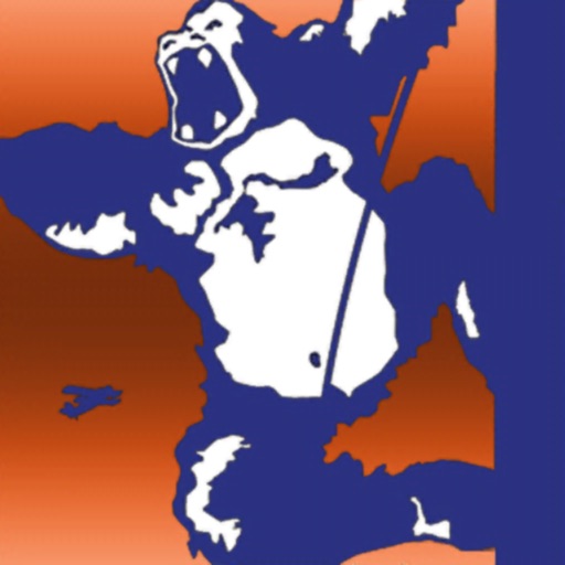 Over the Edge AugmentedReality