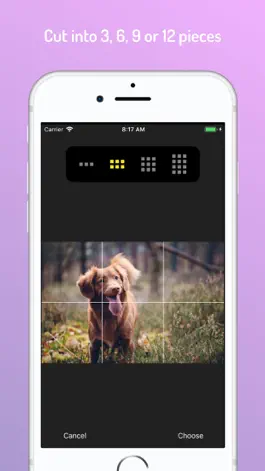 Game screenshot InGrid для Instagram hack