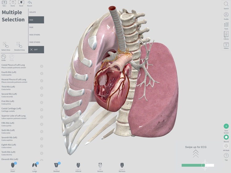 Complete Heart screenshot-3