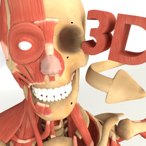 3D Anatomy + iOS App