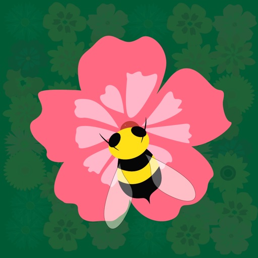 Blossom Clash icon