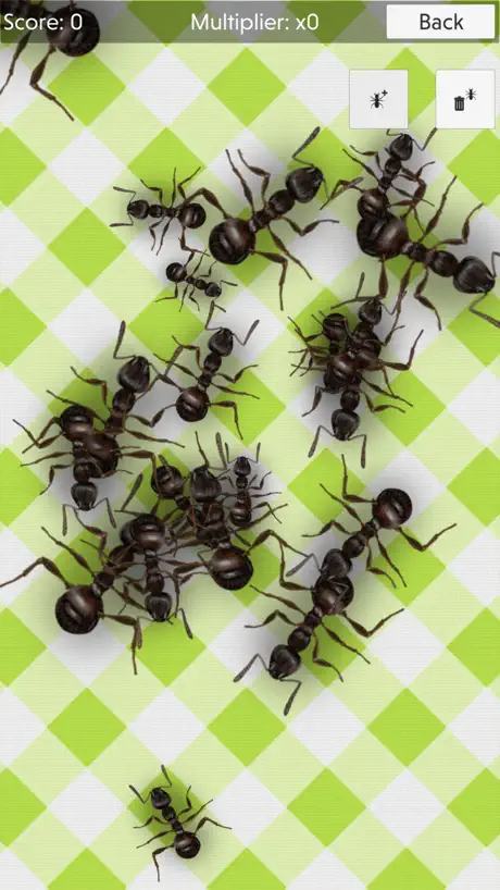 No More Ants - スカッシュ