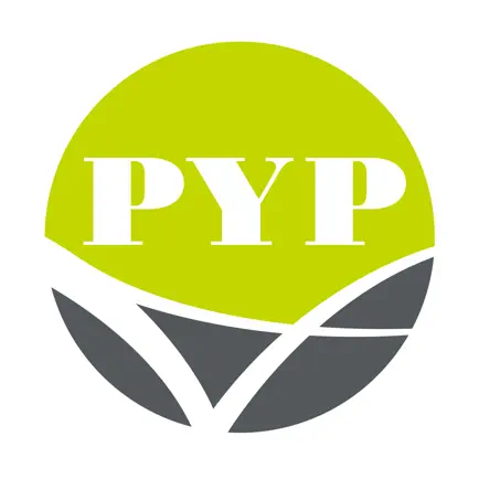 PYP Studio Читы
