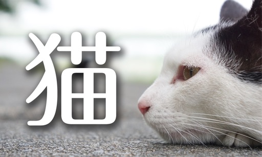 12 months of Street Cats icon