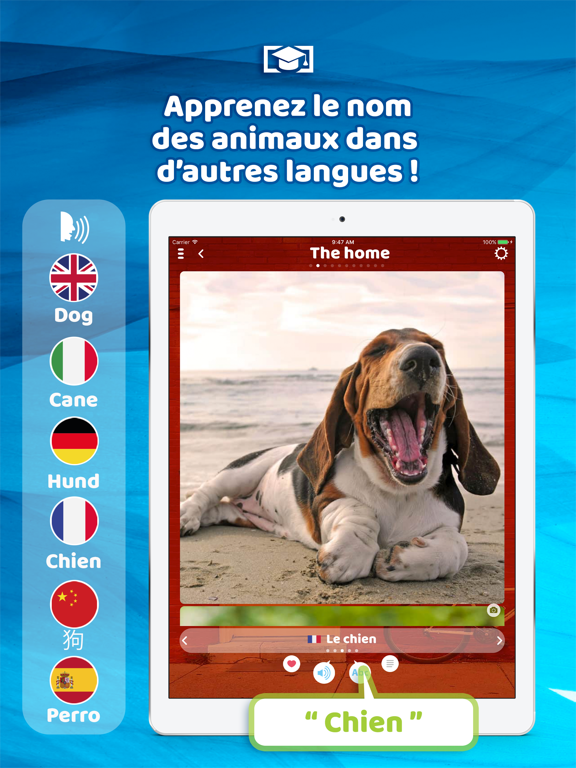 Screenshot #6 pour Cris d’animaux!