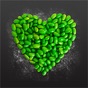 Green Kitchen app download