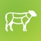 Meat the cut is your one stop shop for information on New Zealand grass-fed beef and lamb export cuts