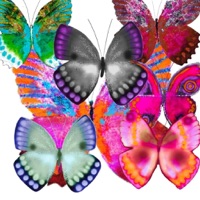 Haulwen Butterflies app icon - Stickers app for iPhone