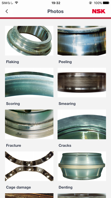 NSK Bearing Doctor Screenshot
