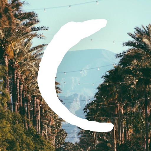 Coachella 2018 Official Icon