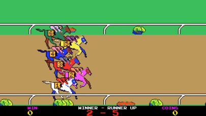 Horse Racing Machine screenshot 4