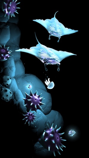 Seashine(圖2)-速報App
