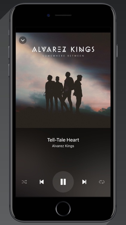 Alvarez Kings screenshot-5