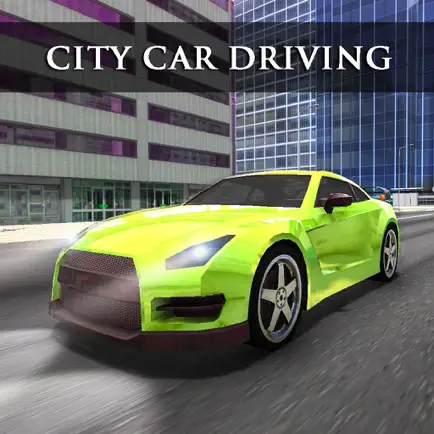 City Car Driving Simulator 3d Cheats
