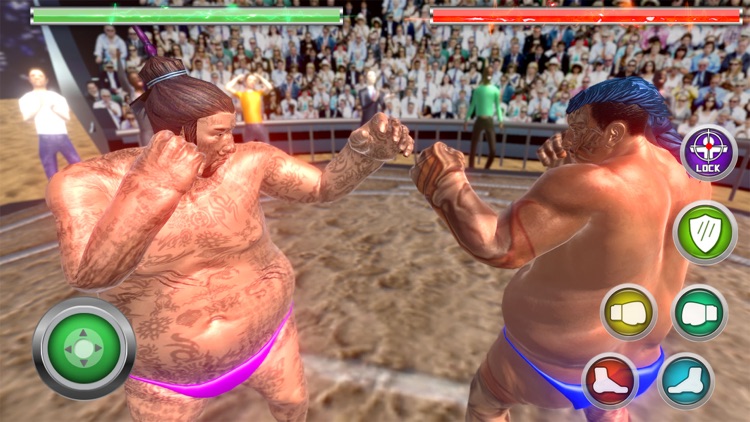 Real Sumo Fighting 2017