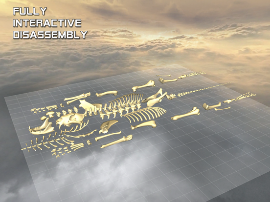 Screenshot #6 pour Body Disassembly 3D