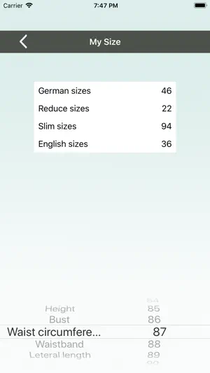 Business Style screenshot 3