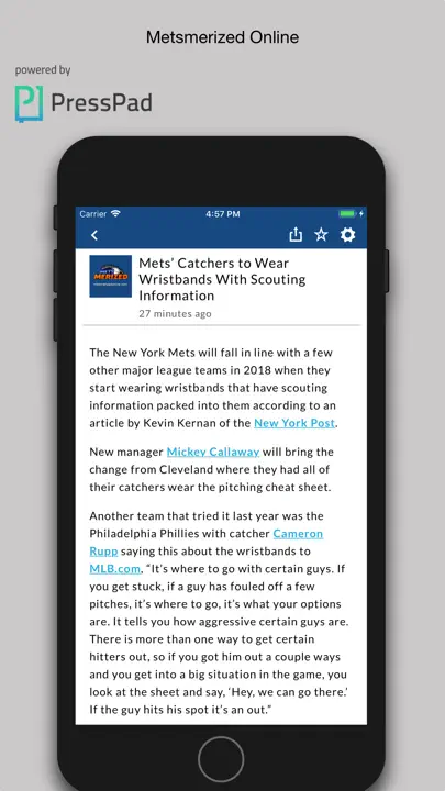 Metsmerized Online iPhone Screenshot 3