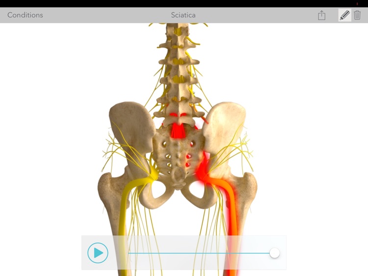 Virtual Consultation Mobile screenshot-3