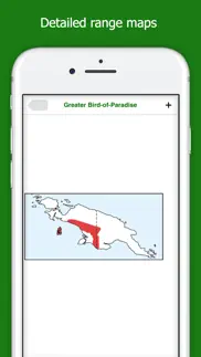 birds of new guinea iphone images 3