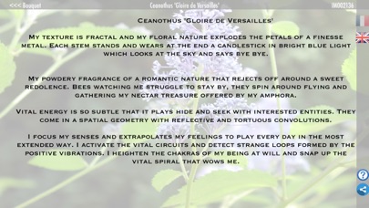 Power Flower 12 Screenshot
