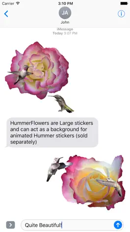 Game screenshot Hummingbird Flowers mod apk