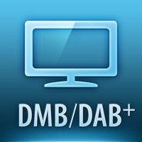 tivizen DMB/DAB+ apk