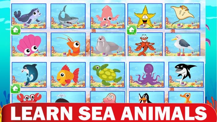 Coloring Sea Animal Vocabulary