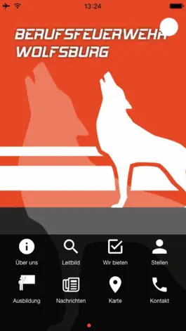 Game screenshot BF Wolfsburg mod apk