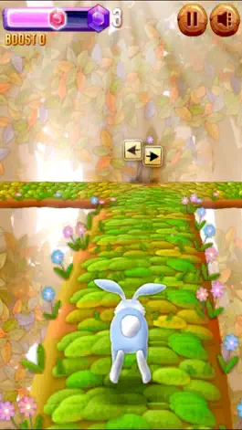 Game screenshot Pocket Rabbit Catch Escape Run hack