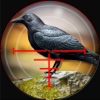 Forest Crow Hunter 3D: Sniper Shooting Simulation