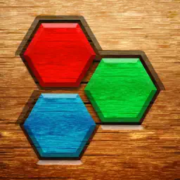 Hexa Wood Block Puzzle! app icon