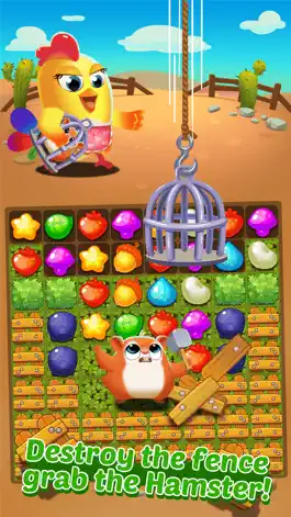 Game screenshot Chicken Splash 3 apk