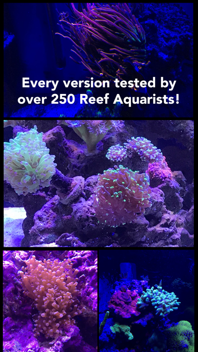 Aquarium Cameraのおすすめ画像3