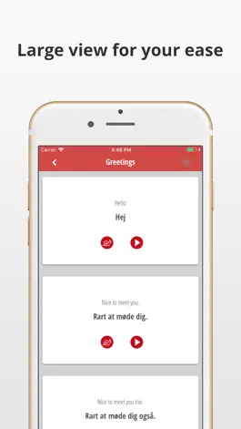 Game screenshot Learn Danish Language hack