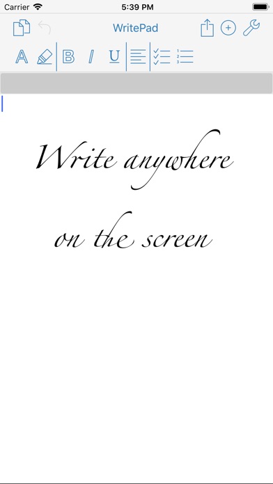 WritePad Pro. Screenshot 2