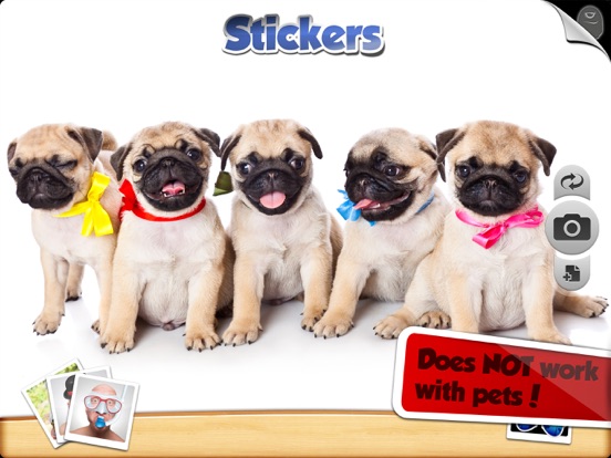 Stickers Lite iPad screenshot 5 - Photo & Video app