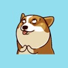 Fatty Corgi Dog Animated