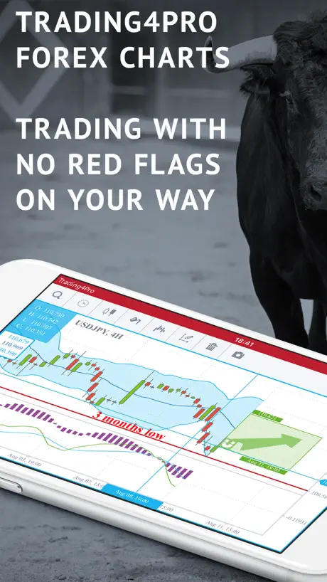 Trading4Pro Forex Charts