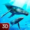 Hump Back Whale Ocean Sim Positive Reviews, comments