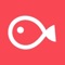 Vimo - All about video editing