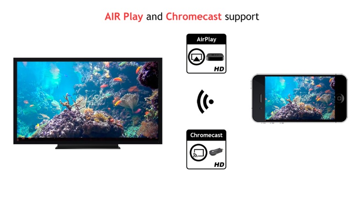 Aquarium 4K √