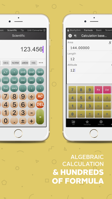 Screenshot #3 pour Calculator : calculatrice scientifique & soldes HD