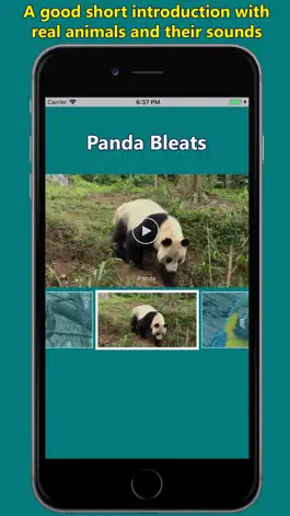 Game screenshot Names of Animal Sounds hack