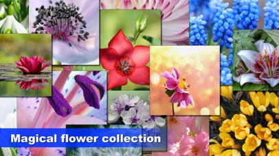 Jigsaw Puzzle: Flower game screenshot 3