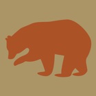 L’ours dans la préhistoire